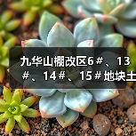 九华山棚改区6＃、13＃、14＃、15＃地块土壤修复工程中标结果公布！（图4）