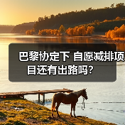 巴黎协定下 自愿减排项目还有出路吗？（图1）
