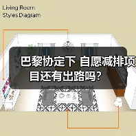 巴黎协定下 自愿减排项目还有出路吗？（图4）