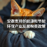 安徽支持新能源和节能环保产业发展税费政策40条！（图3）