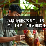 九华山棚改区6＃、13＃、14＃、15＃地块土壤修复工程招标！（图3）
