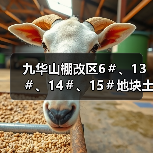 九华山棚改区6＃、13＃、14＃、15＃地块土壤修复工程招标！（图4）