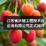 江苏省环境工程技术连云港有限公司正式揭牌！