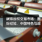 碳排放权交易市场：国际经验、中国特色与政策建议