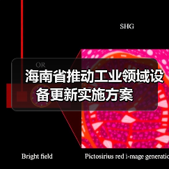 海南省推动工业领域设备更新实施方案（图1）