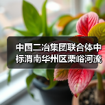 中国二冶集团联合体中标渭南华州区栗峪河流域历史遗留矿渣土壤污染综合整治项目EPC！（图3）