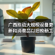 广西推动大规模设备更新和消费品以旧换新工作方案(图2) 广西推动大规模设备更新和消费品以旧换新工作方案(图2)