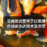 云南发改委关于征集绿色低碳先进技术及示范工程的通知（图2）