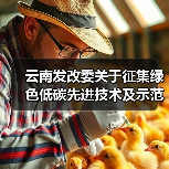 云南发改委关于征集绿色低碳先进技术及示范工程的通知（图4）