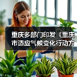 重庆多部门印发《重庆市适应气候变化行动方案》(图2) 重庆多部门印发《重庆市适应气候变化行动方案》(图2)