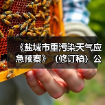 《盐城市重污染天气应急预案》（修订稿）公示（图2）
