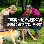 江苏省推动大规模设备更新和消费品以旧换新行动方案(图1) 江苏省推动大规模设备更新和消费品以旧换新行动方案(图1)