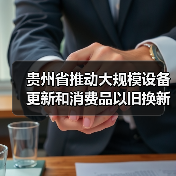 贵州省推动大规模设备更新和消费品以旧换新实施方案（图2）