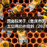 国务院关于《重庆市国土空间总体规划（2021—2035年）》的批复（图3）