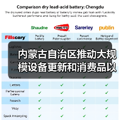 内蒙古自治区推动大规模设备更新和消费品以旧换新工作任务落实方案(图4) 内蒙古自治区推动大规模设备更新和消费品以旧换新工作任务落实方案(图4)