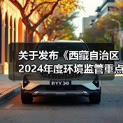 关于发布《西藏自治区2024年度环境监管重点单位名录》的公告（图3）