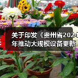 关于印发《贵州省2024年推动大规模设备更新和消费品以旧换新重点项目清单（第一批）》的通知（图2）
