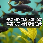 宁夏回族自治区发展改革委关于做好绿色低碳先进技术示范工程建设和项目谋划工作的通知(图3) 宁夏回族自治区发展改革委关于做好绿色低碳先进技术示范工程建设和项目谋划工作的通知(图3)
