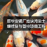 原华安钢厂地块污染土壤修复与管控项目工程总承包招标！（图1）