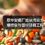 原华安钢厂地块污染土壤修复与管控项目工程总承包招标！（图2）