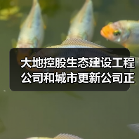 大地控股生态建设工程公司和城市更新公司正式揭牌成立！（图2）
