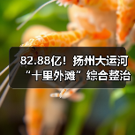 82.88亿！扬州大运河“十里外滩”综合整治提升项目（古运河-七里河）投资及工程总承包招标！（图2）