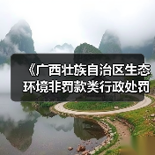 《广西壮族自治区生态环境非罚款类行政处罚裁量规则(征求意见稿)》(图4) 《广西壮族自治区生态环境非罚款类行政处罚裁量规则(征求意见稿)》(图4)