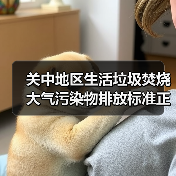 关中地区生活垃圾焚烧大气污染物排放标准正式发布！（图2）