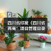 四川省印发《四川省“两高”项目管理目录（试行）》（图2）