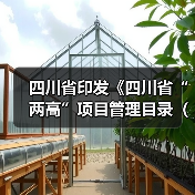 四川省印发《四川省“两高”项目管理目录（试行）》（图3）