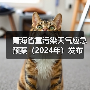 青海省重污染天气应急预案（2024年）发布（图4）