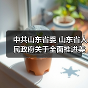 中共山东省委 山东省人民政府关于全面推进美丽山东建设的实施意见（图3）