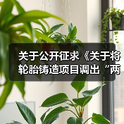 关于公开征求《关于将轮胎铸造项目调出“两高”项目范围的通知(征求意见稿)》意见的通知(图3) 关于公开征求《关于将轮胎铸造项目调出“两高”项目范围的通知(征求意见稿)》意见的通知(图3)