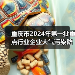 重庆市2024年第一批重点行业企业大气污染防治绩效评级结果公告（图2）