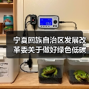 宁夏回族自治区发展改革委关于做好绿色低碳先进技术示范工程建设和项目谋划工作的通知（图4）