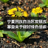 宁夏回族自治区发展改革委关于做好绿色低碳先进技术示范工程建设和项目谋划工作的通知（图2）