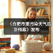 《合肥市重污染天气应急预案》发布（图2）