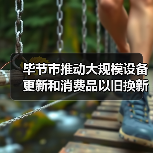 毕节市推动大规模设备更新和消费品以旧换新工作方案（图2）