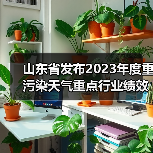 山东省发布2023年度重污染天气重点行业绩效评级及抽查复核结果（图4）