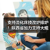 支持流化床技改炉排炉！陕西省加力支持大规模设备更新和消费品以旧换新实施方案发布！（图3）