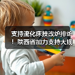 支持流化床技改炉排炉！陕西省加力支持大规模设备更新和消费品以旧换新实施方案发布！（图4）