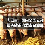 内蒙古:面向全国公开征集储备内蒙古自治区环资领域重大示范项目工程(图4) 内蒙古:面向全国公开征集储备内蒙古自治区环资领域重大示范项目工程(图4)