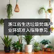 浙江省生活垃圾焚烧产业环境准入指导意见(征求意见稿)发布(图2) 浙江省生活垃圾焚烧产业环境准入指导意见(征求意见稿)发布(图2)
