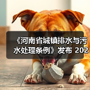 《河南省城镇排水与污水处理条例》发布 2025年2月1日起施行（图2）