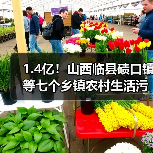 山西临县七个乡镇农村污水治理项目EPC总承包公开招标｜核心技巧