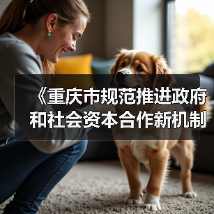 《重庆市规范推进政府和社会资本合作新机制实施方案（试行）》印发（图1）