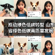 推动绿色低碳转型 山东省绿色低碳高质量发展促进条例（草案）征求意见（图3）