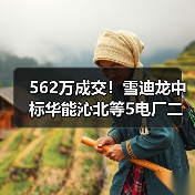 562万成交！雪迪龙中标华能沁北等5电厂二氧化碳排放连续监测系统打捆招标！（图1）