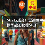 562万成交！雪迪龙中标华能沁北等5电厂二氧化碳排放连续监测系统打捆招标！（图3）