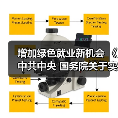 增加绿色就业新机会 《中共中央 国务院关于实施就业优先战略促进高质量充分就业的意见》发布（图2）